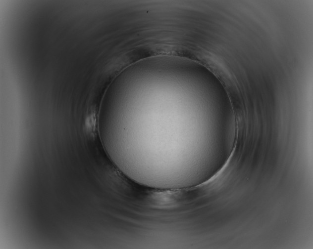 X0000093110190200710031322