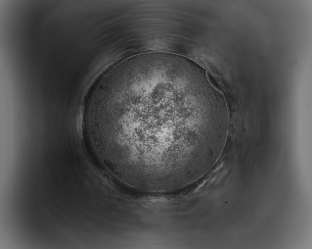 X0000093110194200710031322