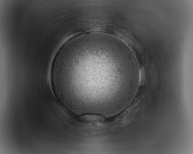 X0000093110195200710031322