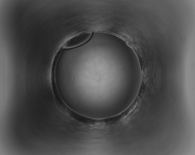 X0000093110196200710031322