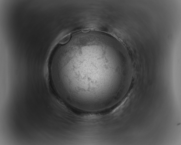 X0000093110198200710031322