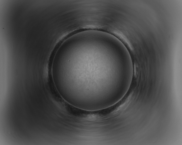X0000093110204200710031322