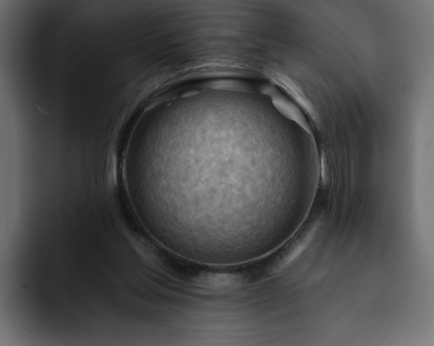 X0000093110205200710031322