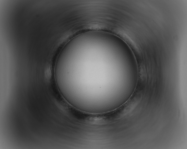 X0000093110208200710031322