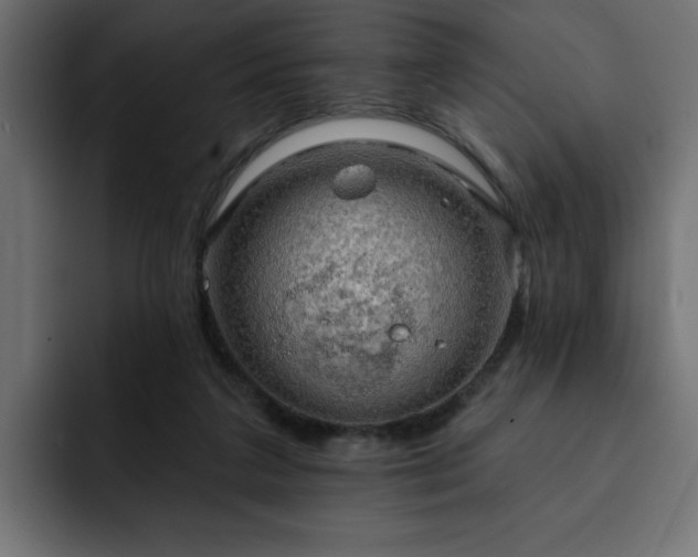 X0000093110211200710031322