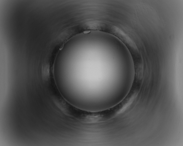 X0000093110213200710031322
