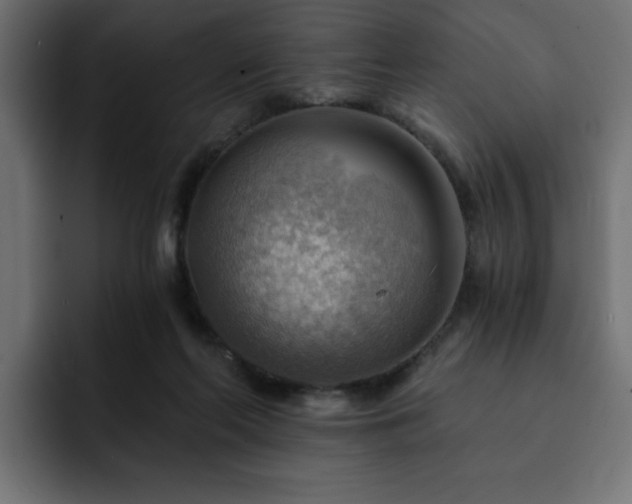 X0000093110214200710031322