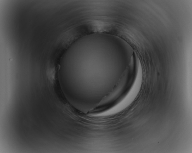 X0000093110219200710031322