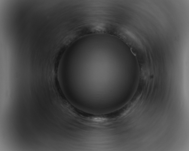 X0000093110223200710031322