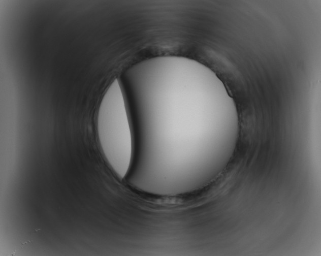 X0000093110225200710031322