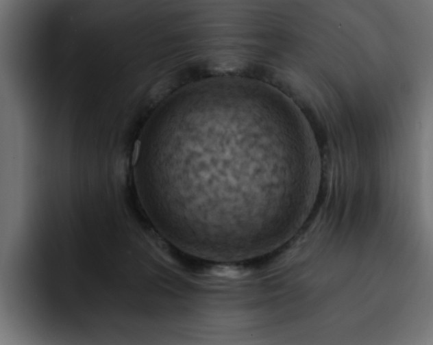 X0000093110227200710031322