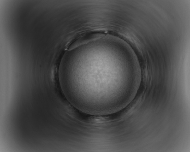X0000093110229200710031322