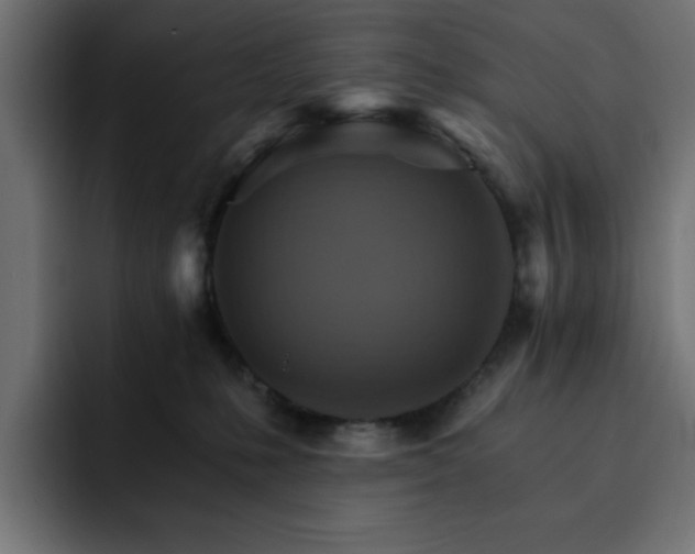 X0000093110231200710031322