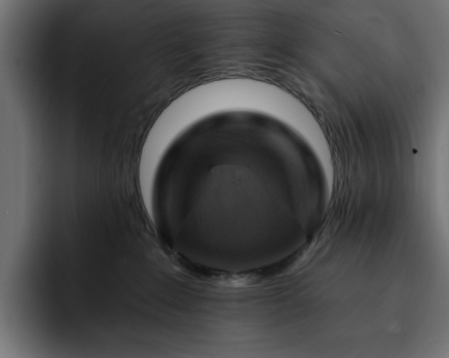 X0000093110235200710031321