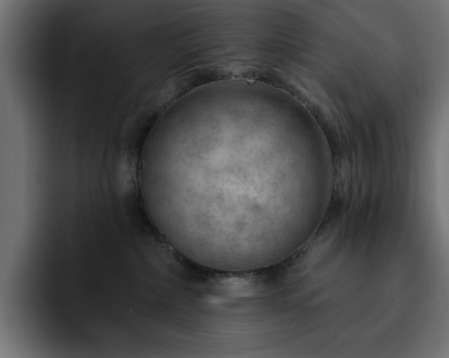 X0000093110236200710031321
