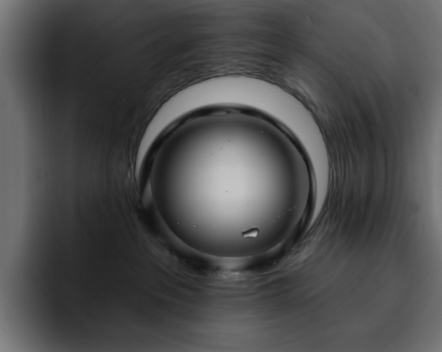 X0000093110237200710031321