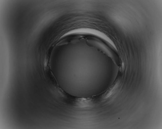 X0000093110239200710031321