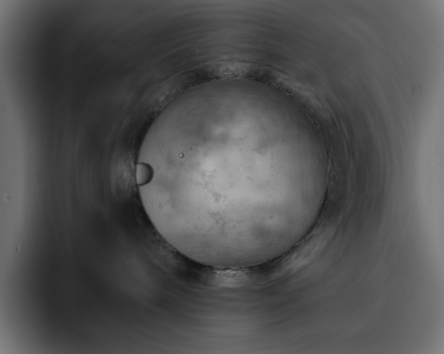X0000093110240200710031321