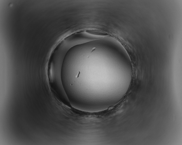 X0000093110244200710031321