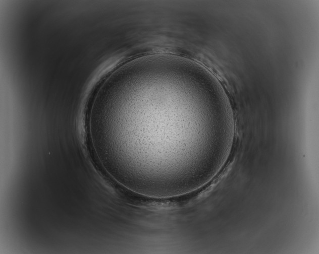 X0000093110245200710031321