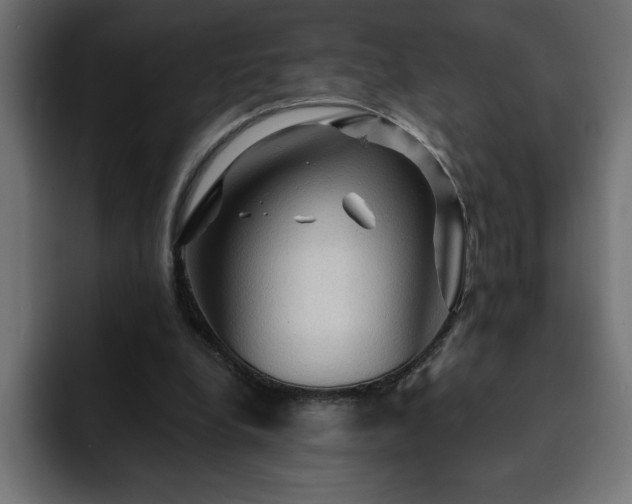X0000093110248200710031321