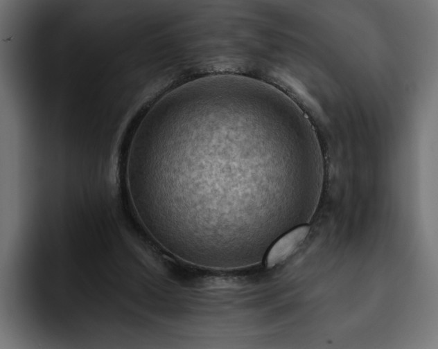 X0000093110250200710031321