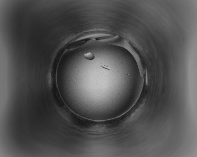 X0000093110252200710031321