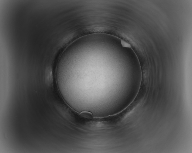 X0000093110254200710031321