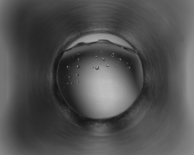 X0000093110256200710031321