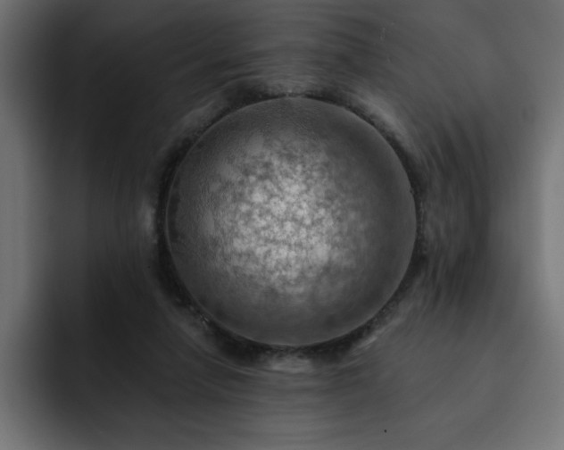 X0000093110258200710031321
