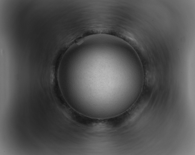 X0000093110259200710031321