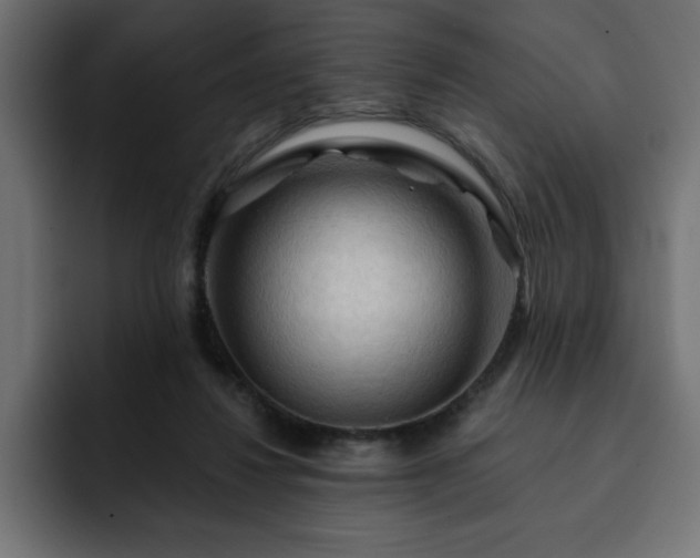 X0000093110260200710031321