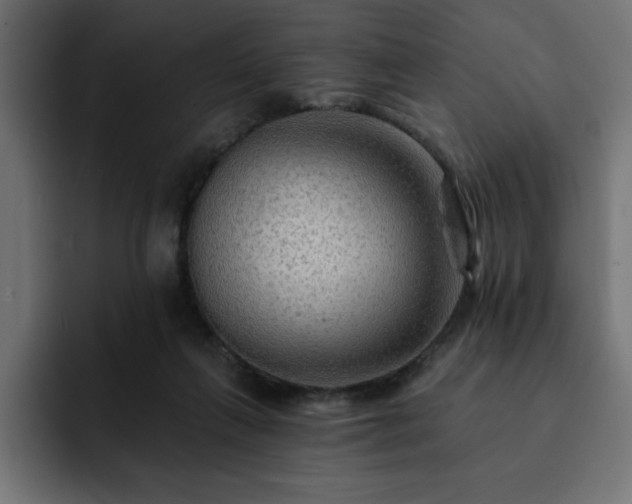 X0000093110263200710031321