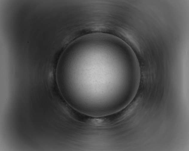 X0000093110265200710031321