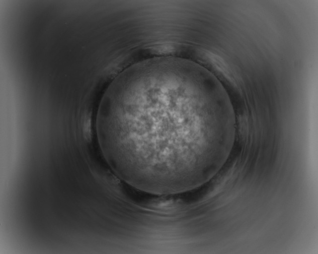 X0000093110267200710031321