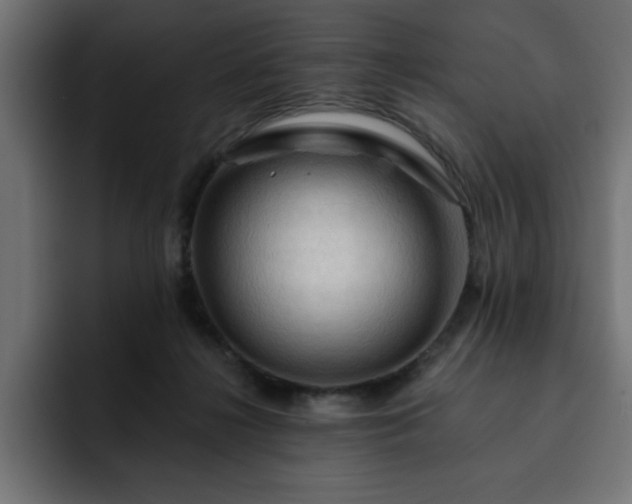 X0000093110268200710031321