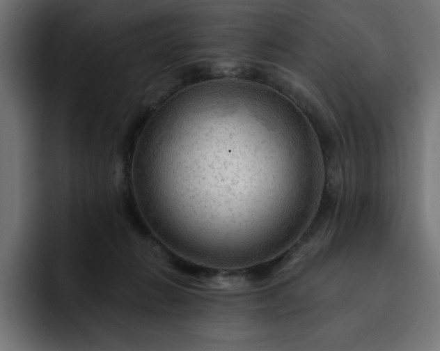 X0000093110270200710031321