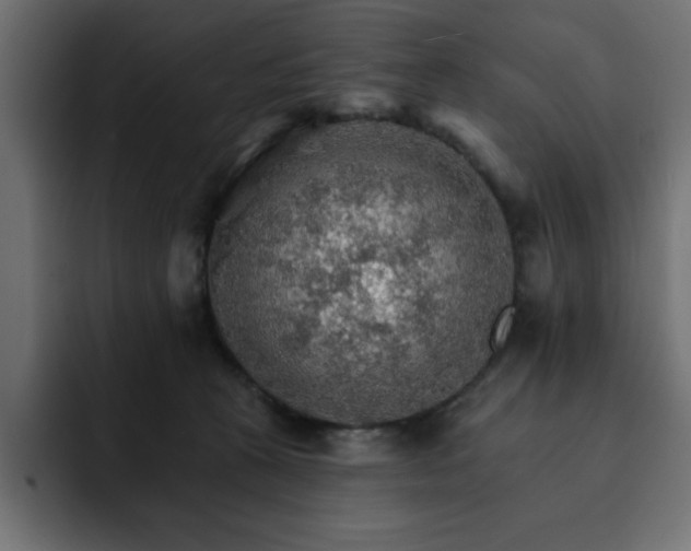 X0000093110273200710031321