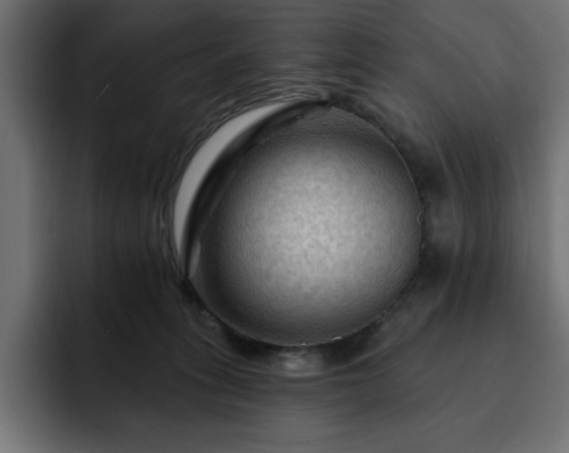 X0000093110275200710031321