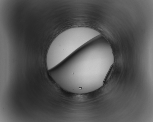 X0000093110277200710031321