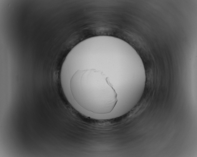 X0000093110278200710031321