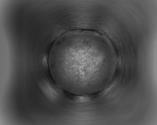 X0000093110286200710031321
