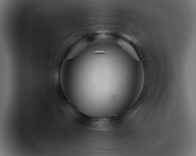 X0000093110288200710031321