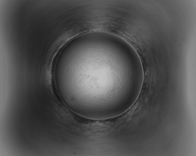 X0000093110290200710031321
