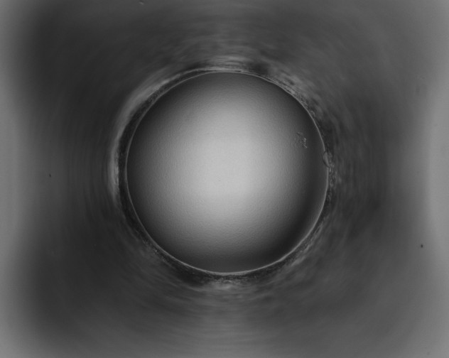 X0000093110294200710031321