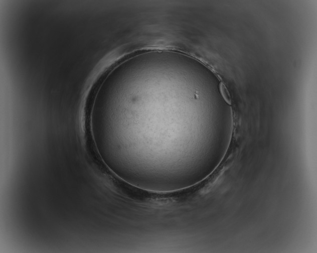 X0000093110296200710031321