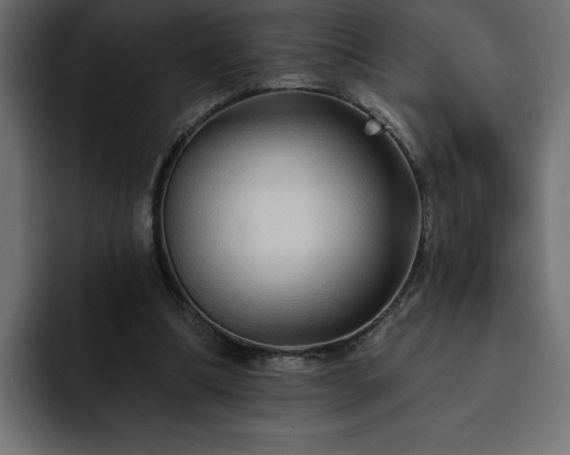 X0000093110298200710031321