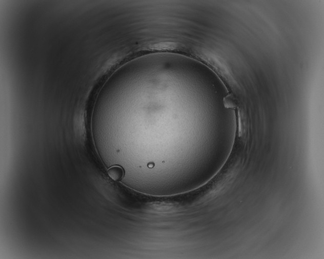 X0000093110300200710031321