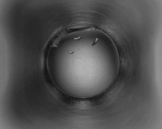 X0000093110304200710031321