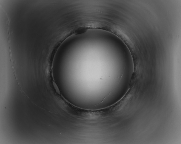 X0000093110305200710031321
